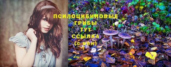 mix Арсеньев