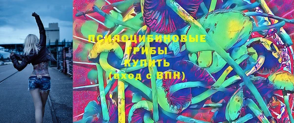 mix Арсеньев