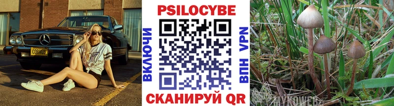 Галлюциногенные грибы прущие грибы  купить   Нижняя Тура 